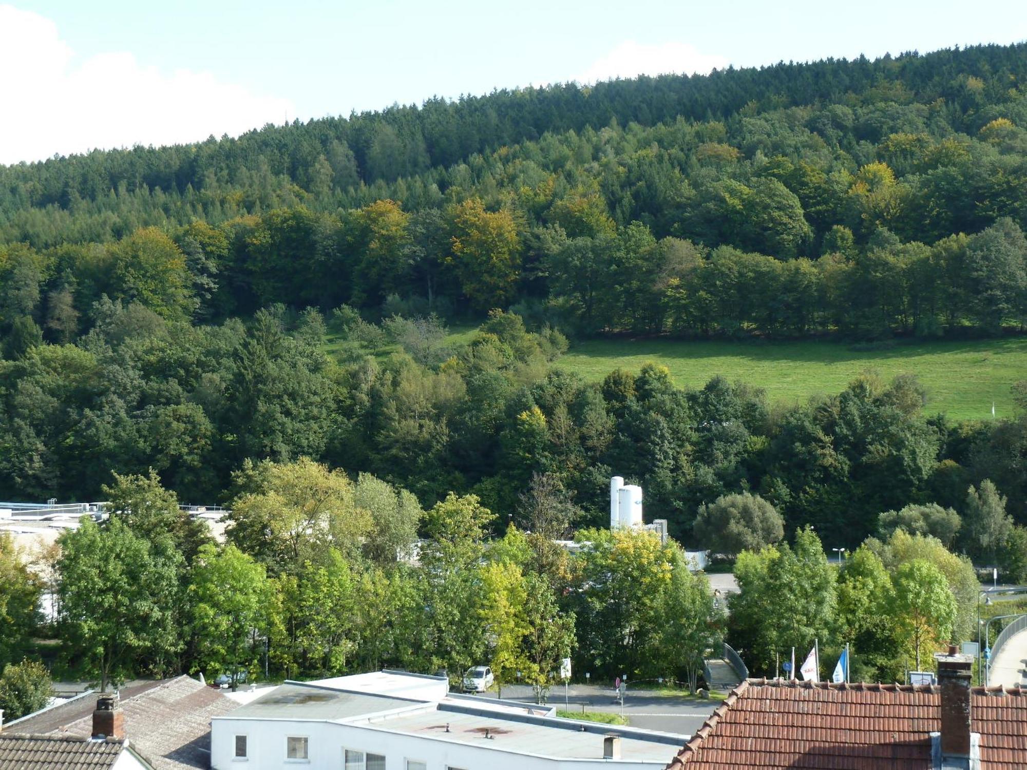 Lina'S Rhoen Bad Brückenau Esterno foto